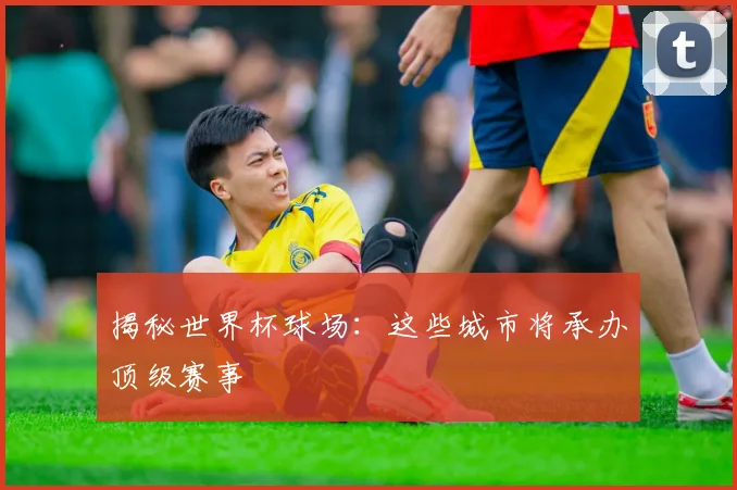 揭秘世界杯球场：这些城市将承办顶级赛事