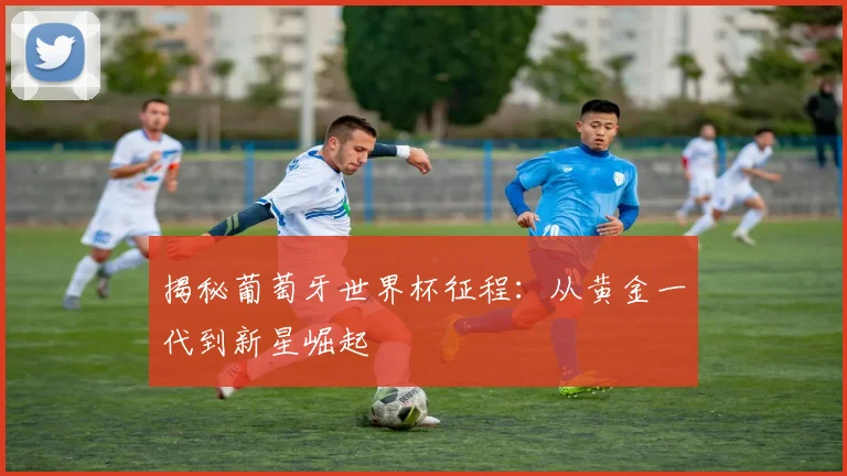 揭秘葡萄牙世界杯征程：从黄金一代到新星崛起