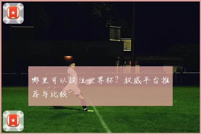 哪里可以投注世界杯？权威平台推荐与比较
