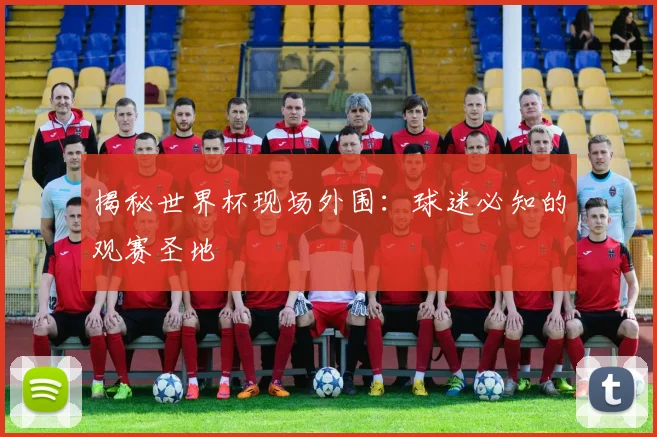揭秘世界杯现场外围：球迷必知的观赛圣地
