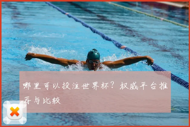 哪里可以投注世界杯?权威平台推荐与比较